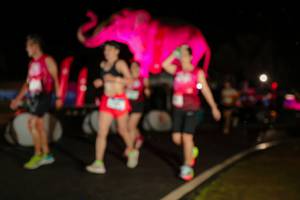 BIB: 
                            <button type="button" onclick="openModal(26535061)" class="btn btn-primary btn-sm float-right btn-popup" data-toggle="modal" data-target=".modal-high-quality">
                        <i class="fas fa-shopping-cart"></i> Add to Cart
                    </button>
                                            <button type="button" onclick="isThisMe(26535061, true)" class="btn btn-success btn-sm float-right btn-popup btn-isme hidden" data-toggle="tooltip" data-placement="bottom" title="นี่คือรูปของคุณใช่ไหม คลิกที่นี่เพื่อเอาเข้าอัลบั้ม">
                        <i class="fas fa-plus"></i> Add to album
                    </button>
                    <button type="button" onclick="isThisMe(26535061, false)" class="btn btn-warning btn-sm float-right btn-popup btn-isnotme hidden">
                        <i class="fas fa-ban"></i> Remove from album
                    </button>